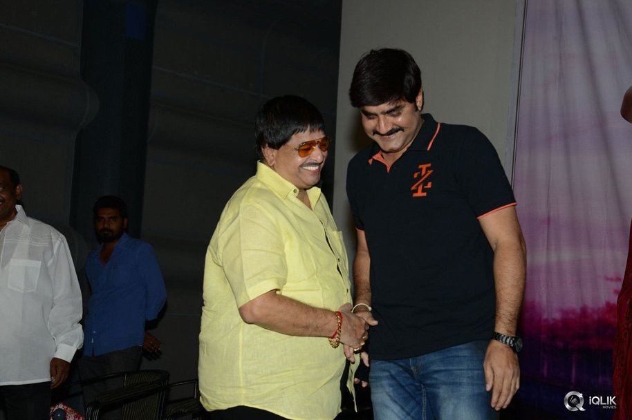 Seenugadi-Love-Story-Movie-Audio-Launch